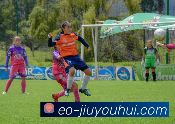 九游会J9官网平台生态图